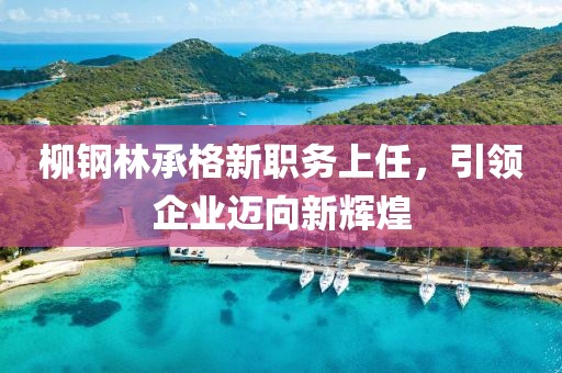 柳鋼林承格新職務(wù)上任，引領(lǐng)企業(yè)邁向新輝煌