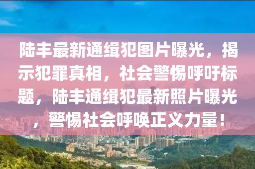陸豐最新通緝犯圖片曝光，揭示犯罪真相，社會警惕呼吁標(biāo)題，陸豐通緝犯最新照片曝光，警惕社會呼喚正義力量！