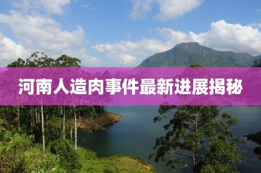 河南人造肉事件最新進(jìn)展揭秘