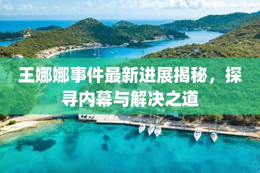 王娜娜事件最新進(jìn)展揭秘，探尋內(nèi)幕與解決之道