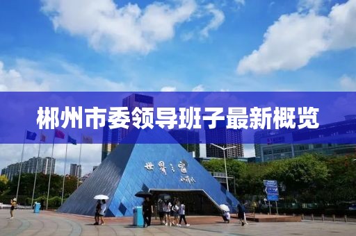 郴州市委領導班子最新概覽