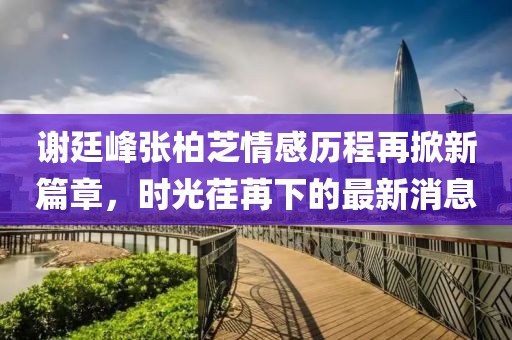 謝廷峰張柏芝情感歷程再掀新篇章，時(shí)光荏苒下的最新消息