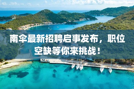 南傘最新招聘啟事發(fā)布，職位空缺等你來(lái)挑戰(zhàn)！