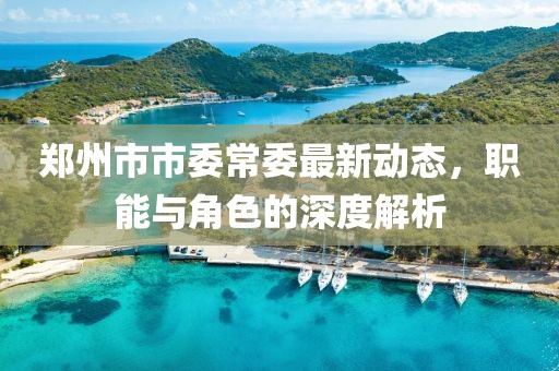 鄭州市市委常委最新動(dòng)態(tài)，職能與角色的深度解析