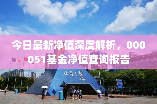 今日最新凈值深度解析，000051基金凈值查詢報告