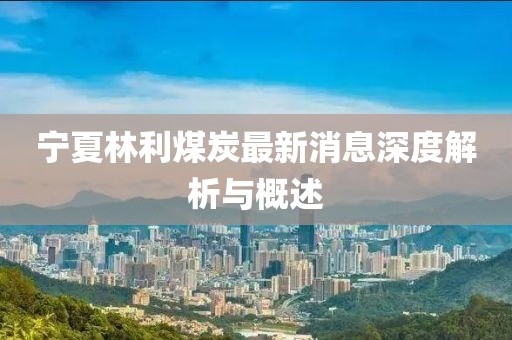 寧夏林利煤炭最新消息深度解析與概述