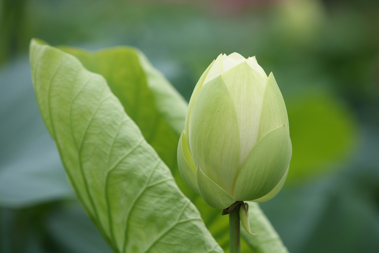 大地傳媒重組最新動(dòng)態(tài)，重塑傳媒產(chǎn)業(yè)格局取得重大進(jìn)展
