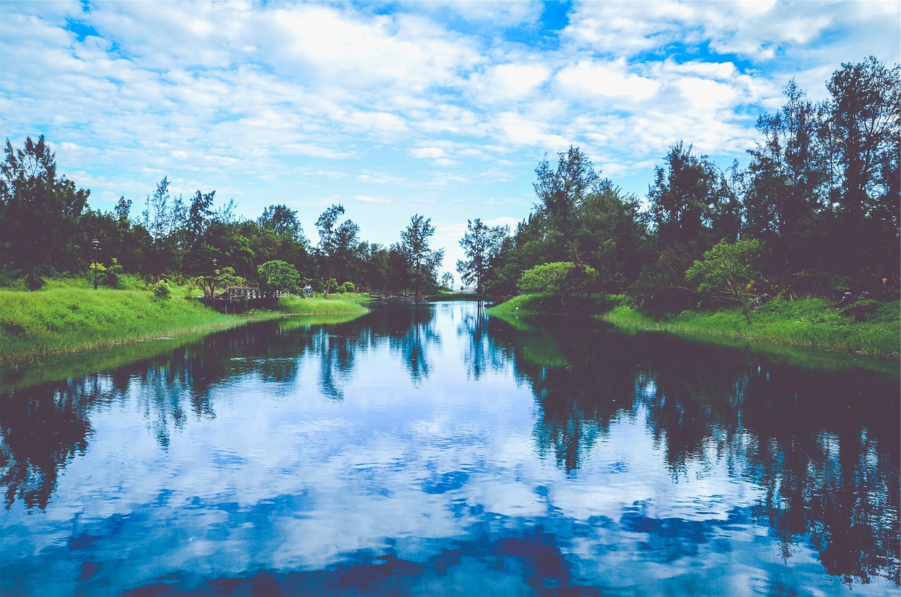 韓國(guó)薩德最新動(dòng)態(tài)，全球關(guān)注下的焦點(diǎn)事件分析視頻揭秘最新消息