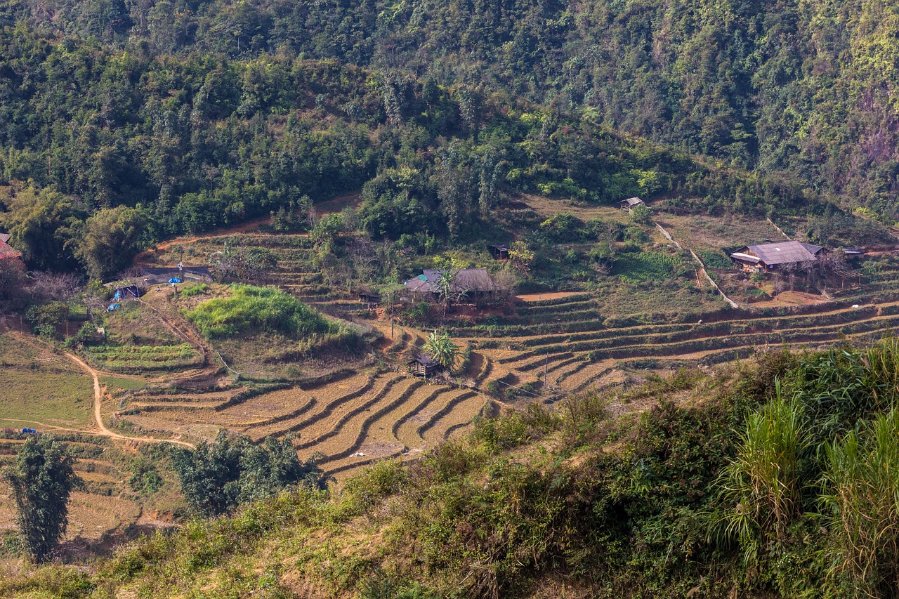 符離鎮(zhèn)最新規(guī)劃圖揭曉，展望繁榮未來，符離鎮(zhèn)2016規(guī)劃展望