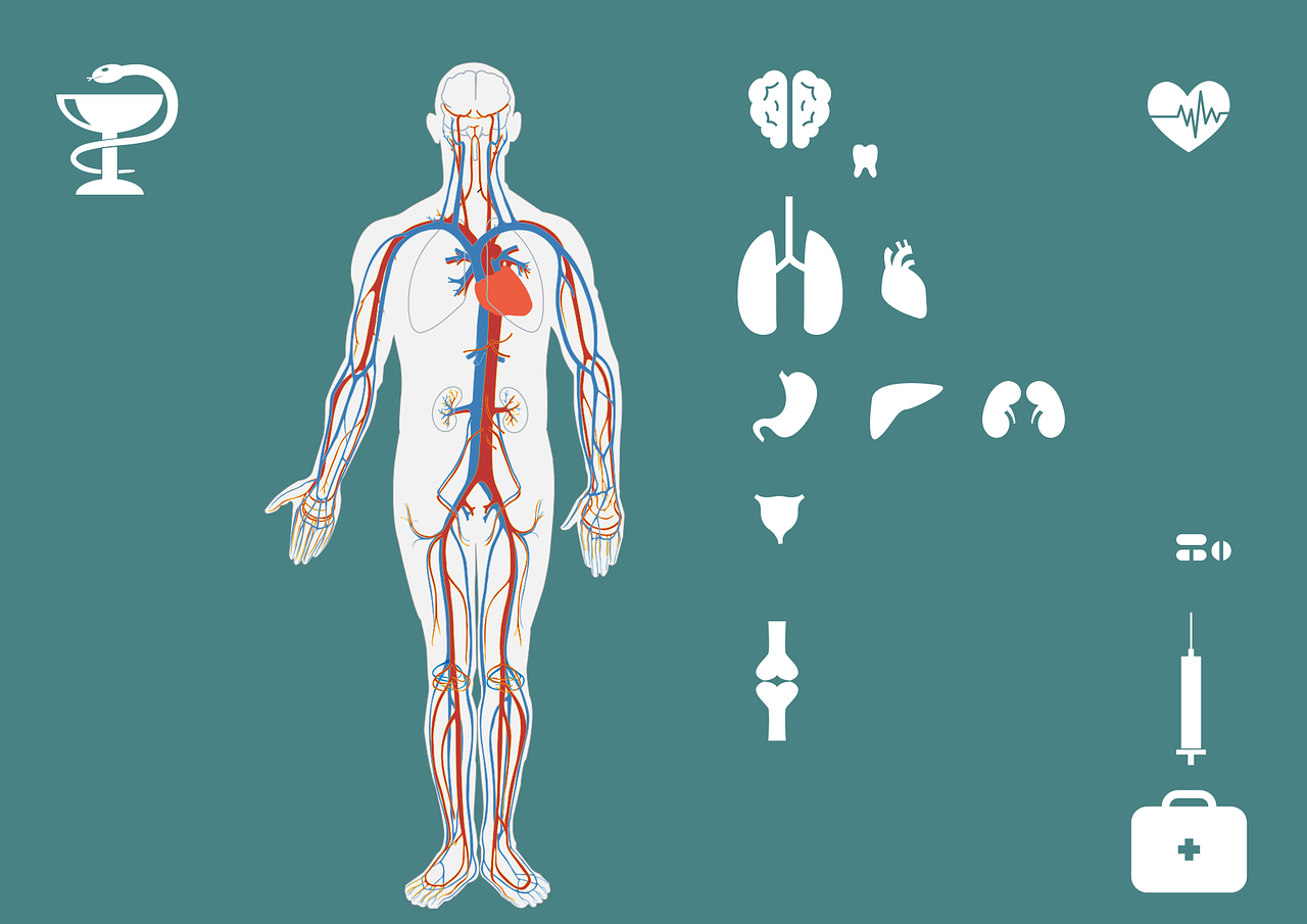急診搶救流程圖優(yōu)化，提升搶救成功率與急救服務(wù)質(zhì)量