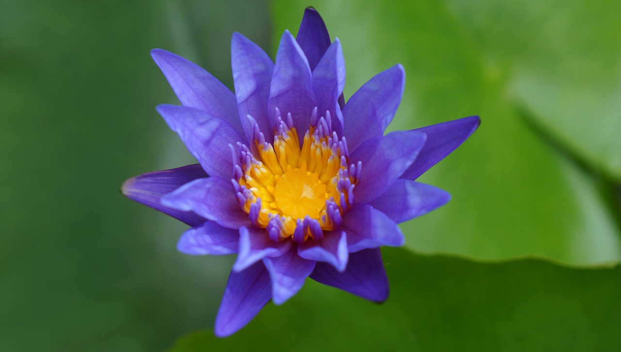 雙陽(yáng)區(qū)火車站邁向現(xiàn)代化，提升服務(wù)質(zhì)量，最新動(dòng)態(tài)報(bào)告
