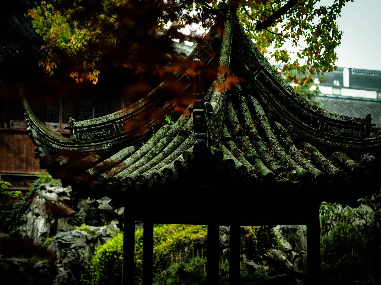 中國女排隊蓄勢待發(fā)，展現(xiàn)新篇章，最新消息與動態(tài)速遞