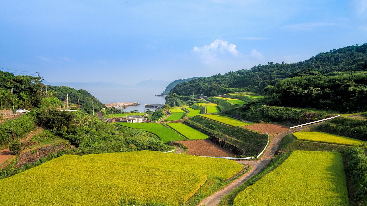廣西靈山高速建設進展揭秘，最新消息與未來展望