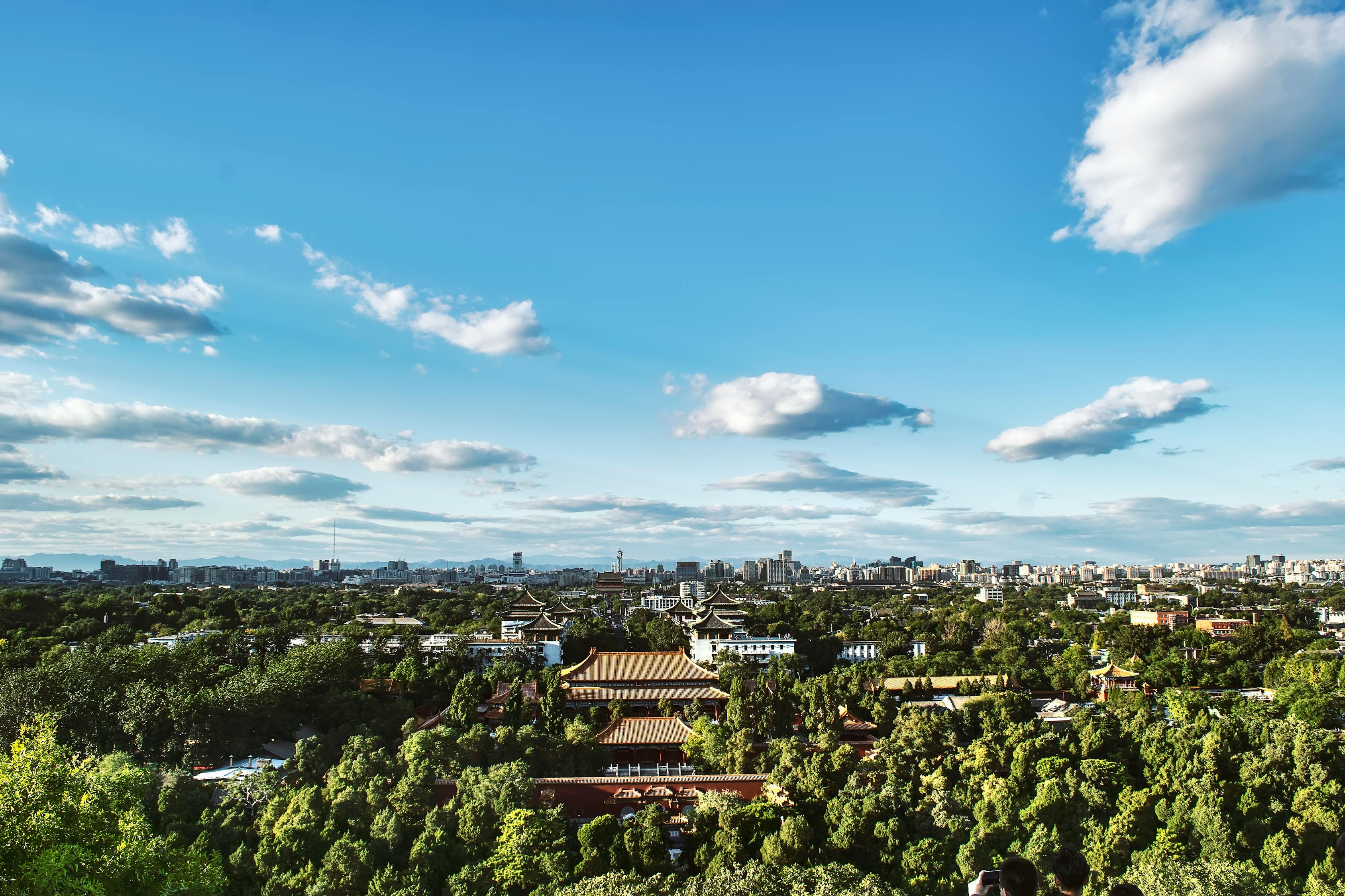 長(zhǎng)沙洞井路最新動(dòng)態(tài)，城市發(fā)展與民生改善同步前行