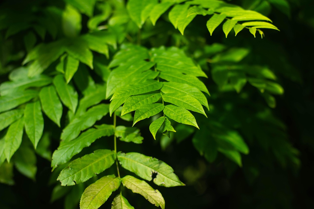 北海水印泉山最新動(dòng)態(tài)，城市發(fā)展與綠色生態(tài)的和諧共鳴