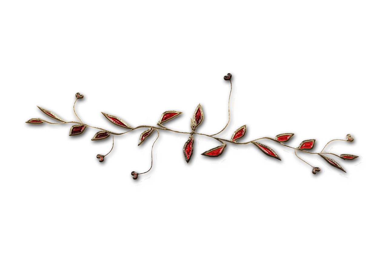 廣西大紅八角產(chǎn)業(yè)蓬勃發(fā)展，前景廣闊，最新消息與動(dòng)態(tài)