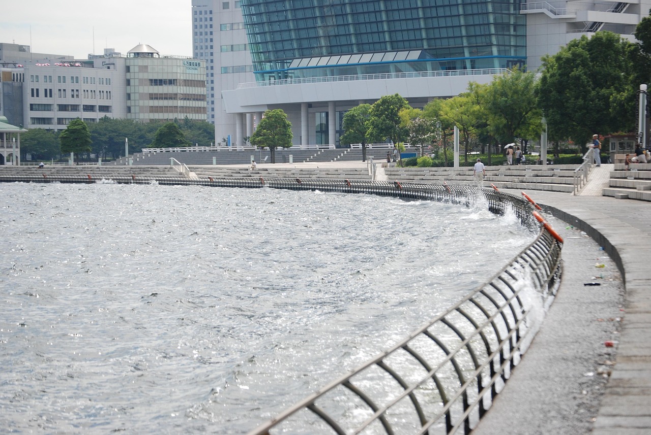 鄭州海昌海洋公園最新動(dòng)態(tài)揭秘，揭開神秘面紗，展現(xiàn)海洋魅力奇觀