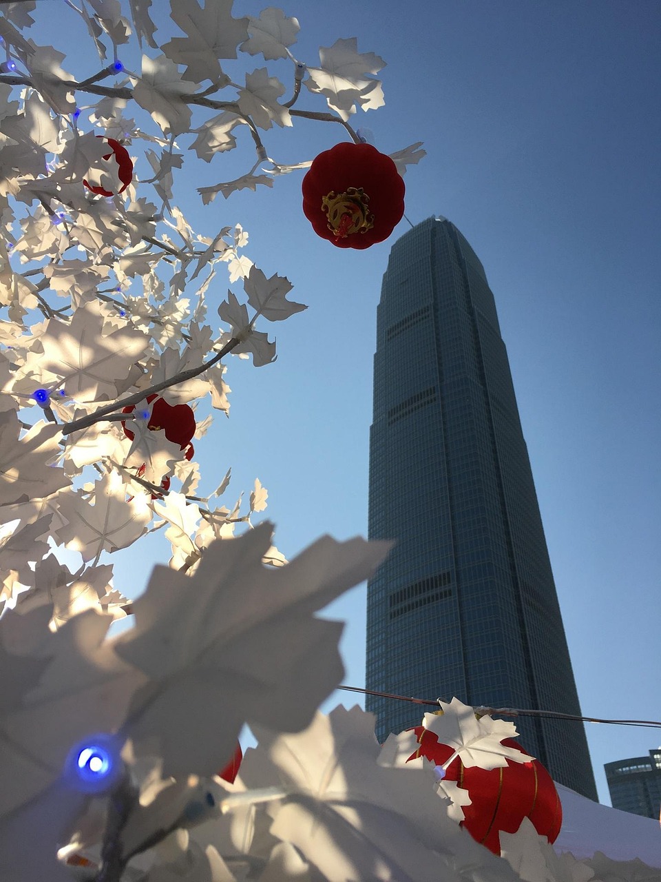 漫漫長(zhǎng)夜新版本砍樹探索，全新體驗(yàn)之旅